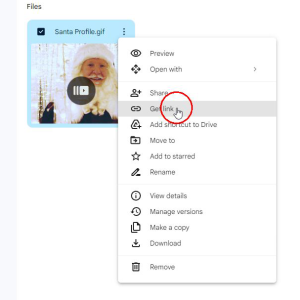 Living Profile email signature | Whitesell Portrait Art